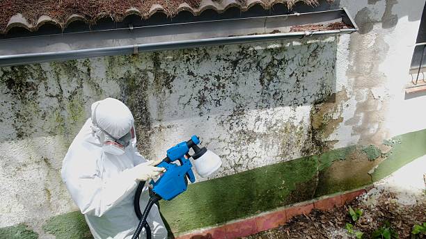Top rated local Attic Mold Remediation specialists in Glenmoore, PA